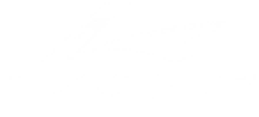LAXAS BOAT SPRAYER